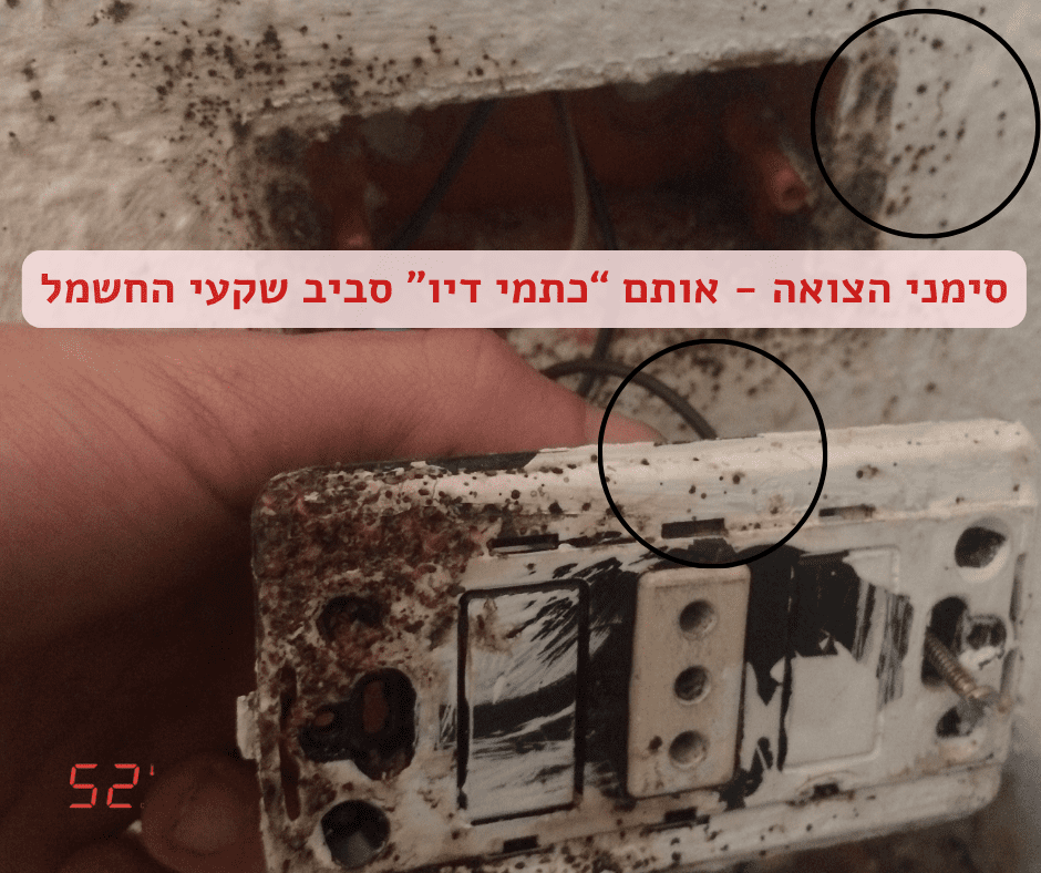 זיהוי פשפש המיטה - בשקע החשמל