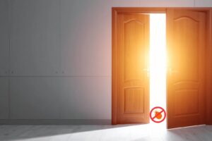 איך פשפשים נכנסים אלי הביתה? איך פשפשים נכנסים לבית שלי - 52 מעלות