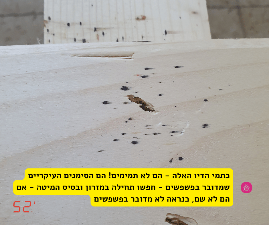 האם פשפש מת לבד - סימני פשפשים על בסיס המיטה - 52 מעלות