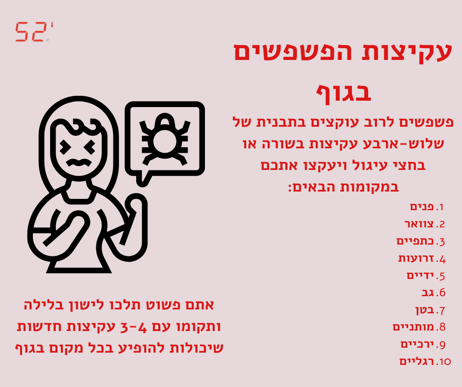 האם פשפשים מעבירים מחלות ואיפה נמצא פשפשים