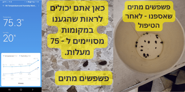 הדברת פשפש המיטה בחום - פשפשים מתים לאחר החימום