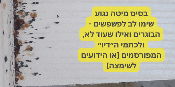 כתמי הדיו - סימני הפשפשים - נקודות שחורות - 52 מעלות