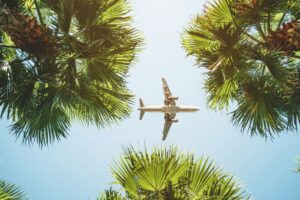 מאיפה פשפשים מגיעים - 52 מעלות