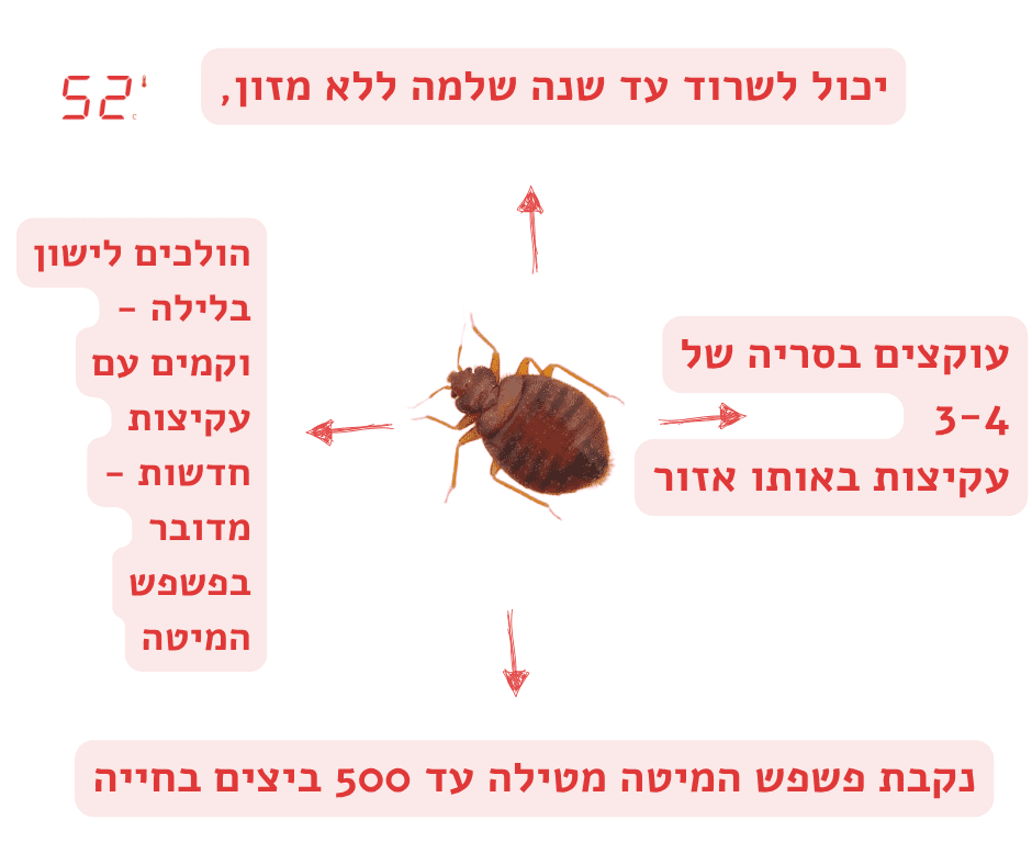 מאפיינים על פשפש המיטה - 52 מעלות