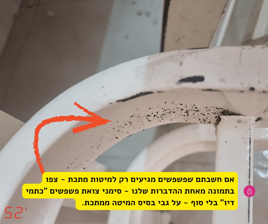 סימני הפשפשים - כתמי הדיו על בסיס המיטה - במיטת מתכת - 52 מעלות