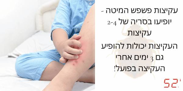 עקיצות פשפש המיטה (עקיצות פשפשים) על גוף תינוק