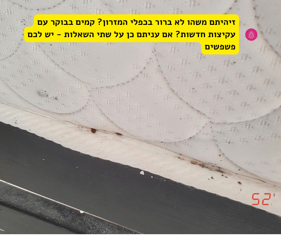 פשפש במזרון - פשפש המיטה בכפלי המזרון - 52 מעלות