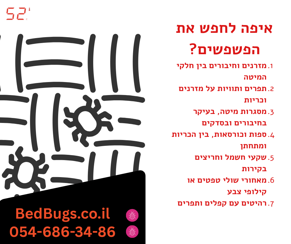 פשפשים בחופשה - פשפשים במזוודה - 52 מעלות