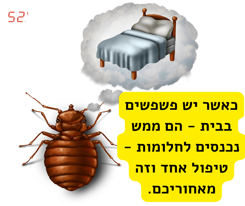 פשפשים במיטה, בסלון ובחלומות - 52 מעלות