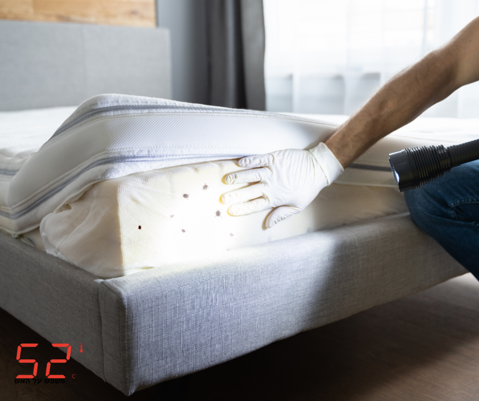 פשפש המיטה במזרון - גילוי יציל את המזרון ואתכם - 52 מעלות